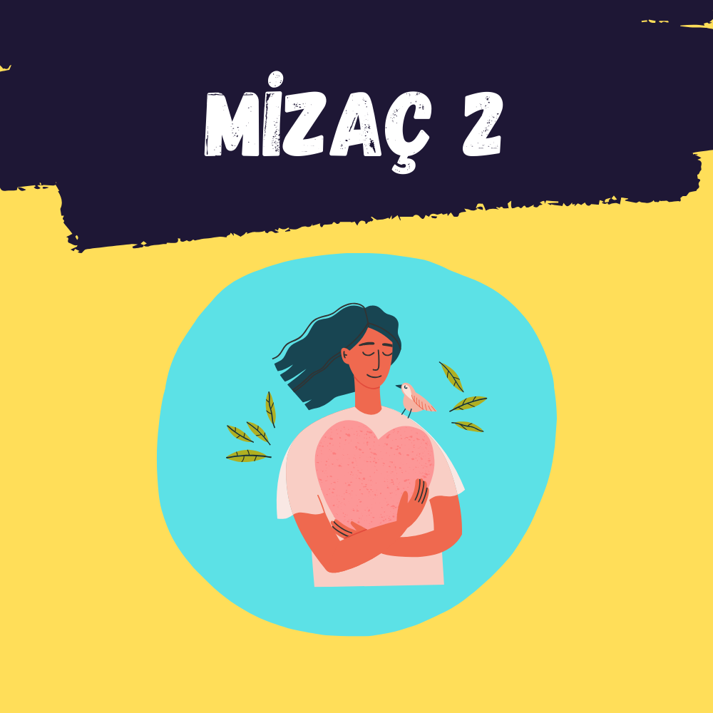Mizaç 2
