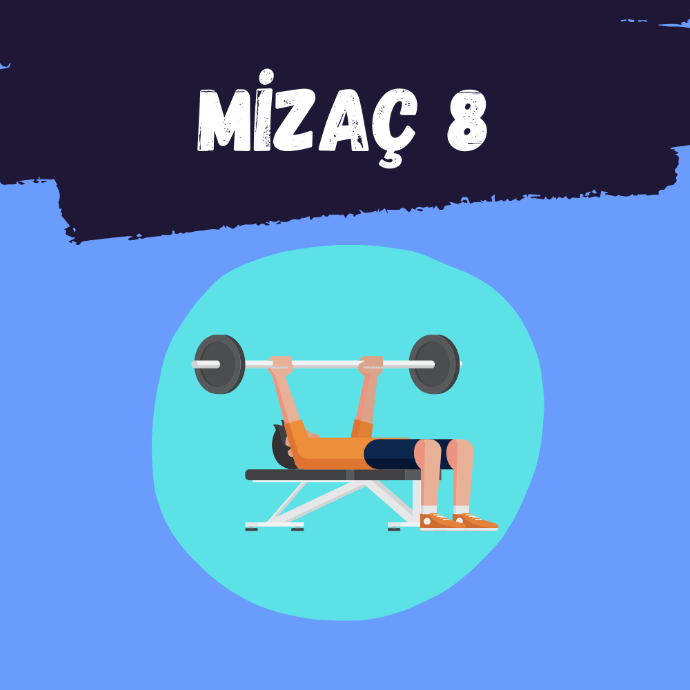 Mizaç 8
